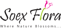 SOEX Flora Pvt Ltd logo